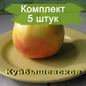 Комплект 5шт / Яблоня Куйбышевское (Предзаказ)